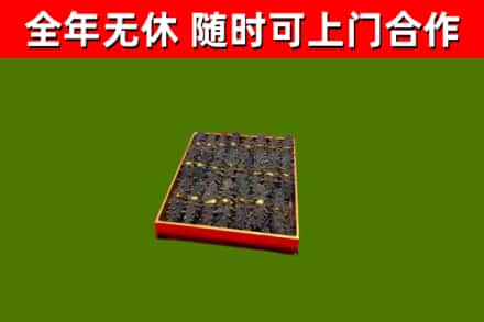 襄城回收海参
